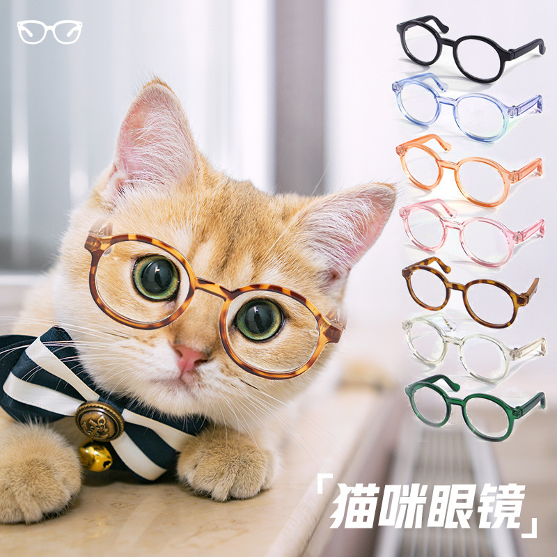 猫咪眼镜小眼镜狗狗黑框大框小型宠物配饰镜个性饰品拍照用