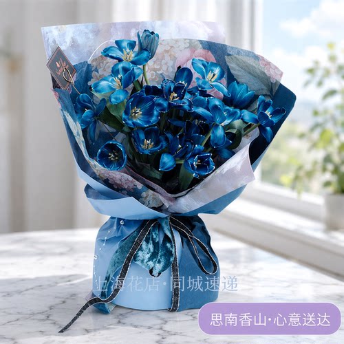 艺术星球染色个性郁金香蝴蝶兰