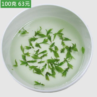 新茶米芽青山绿水小叶苦丁茶毛冬青茶毛冬青嫩芽100克散装茶