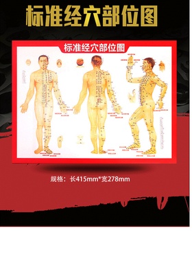 针灸标准经络穴位部位图艾灸