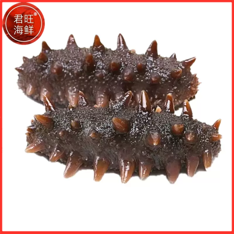 辽参海鲜君旺8小时特产6年