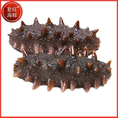 君旺海鲜 野生海参8小时速发500g大连特产6年龄长海县辽参非即食