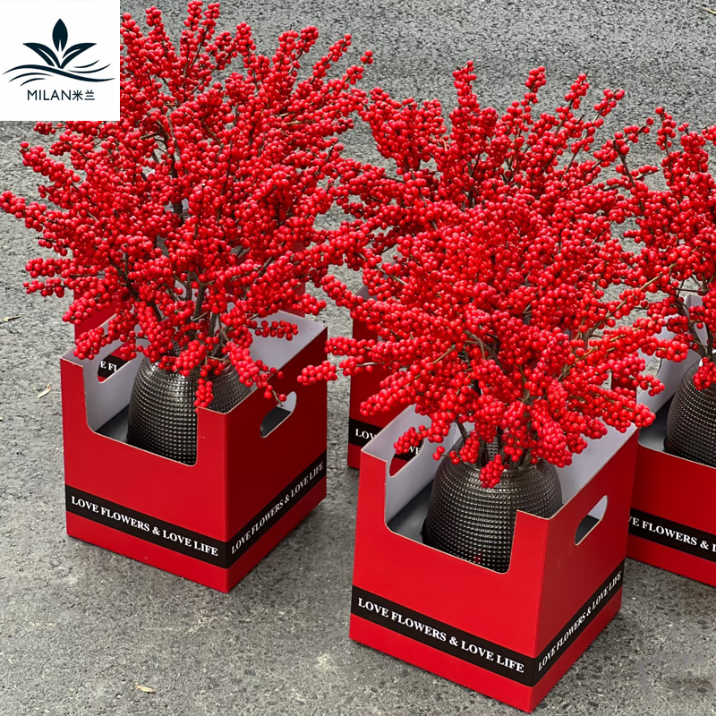 年宵花红果冬青盆栽手提盒蝴蝶兰新年鲜花包装盒折叠纸盒插花礼盒,鲜花速递/花卉仿真/绿植园艺,花艺包装盒,淘宝优惠券,粉丝福利购,淘宝优惠卷