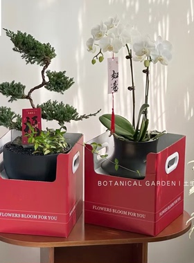 新年蝴蝶兰盆栽插花礼盒绿植冬青盆栽手提花盒红色喜庆礼物包装盒