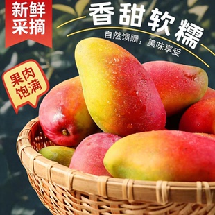大叔臻选 四川攀枝花小贵妃芒果5斤（8分熟）