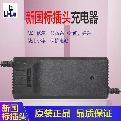 力华爱玛新日防水新国标充电器