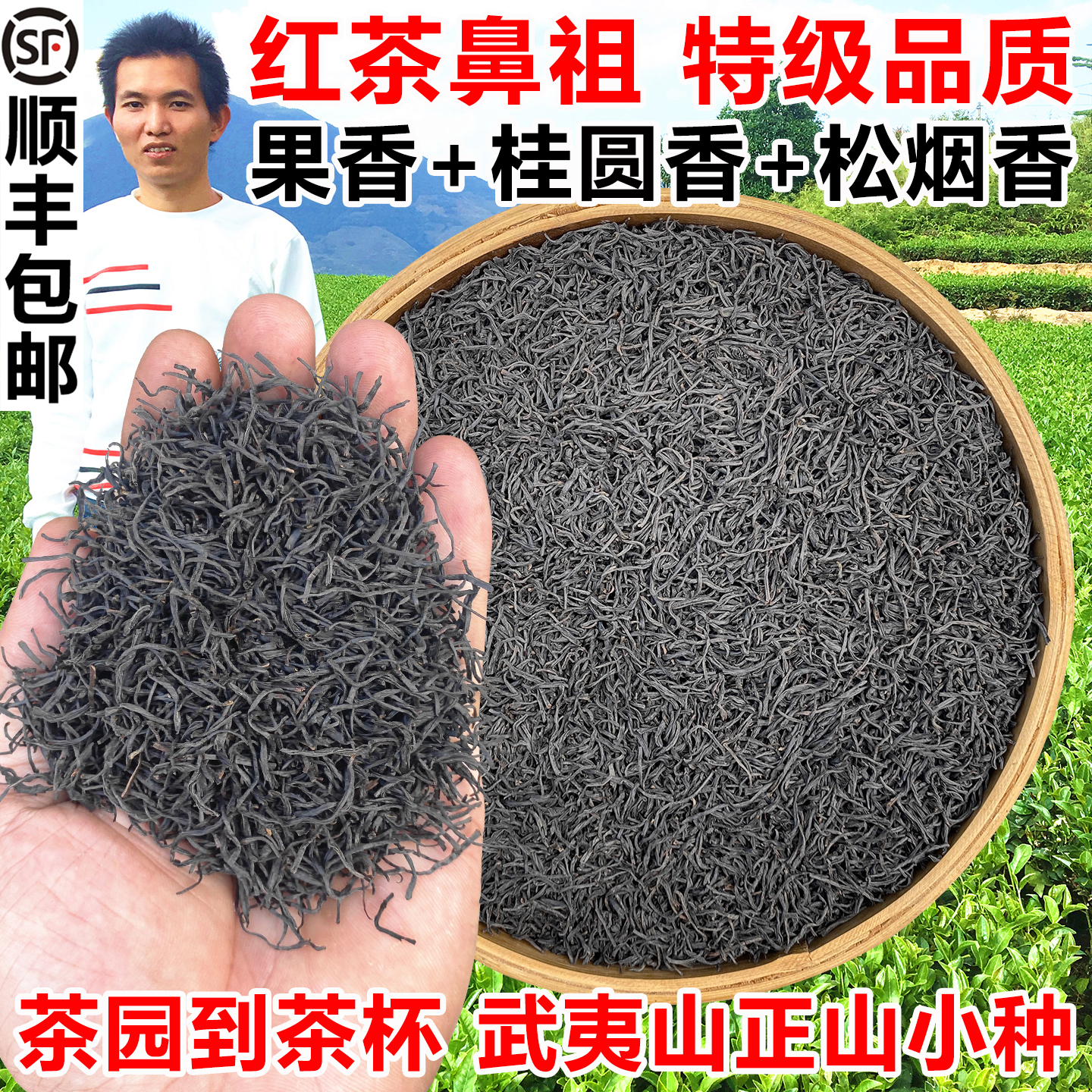 特级正山小种红茶浓香型