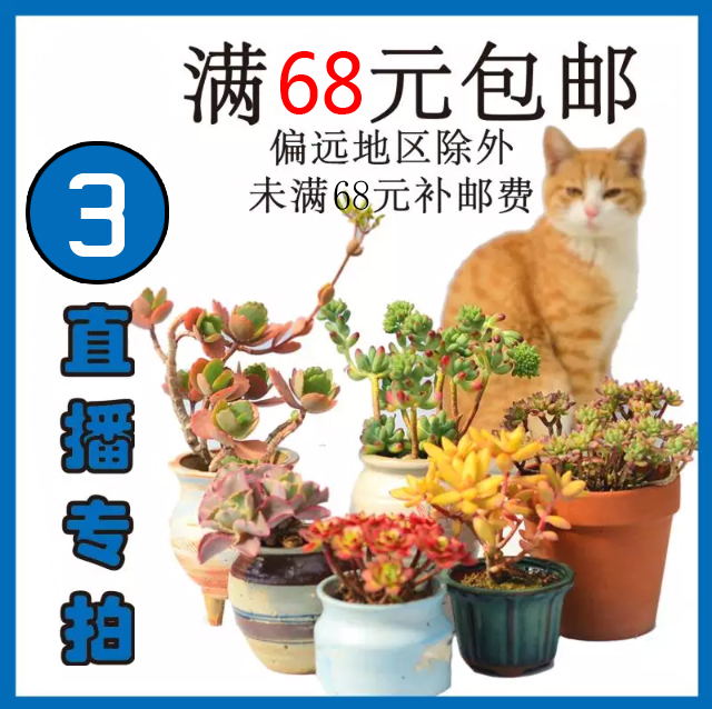 68元包邮