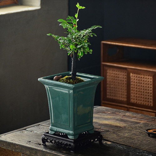 菩陶堂青瓷花盆浮雕仿古纹理造型盆四方形陶瓷大号室内桌面造景盆