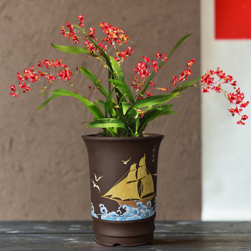 陶瓷多肉法师花盆蝴蝶兰绿萝兰花吊兰简约盆器紫砂胎特价盆栽盆