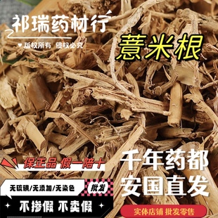 薏米根 中药材 薏苡仁根中药材 薏仁根 五谷子根尿珠子根数珠子根