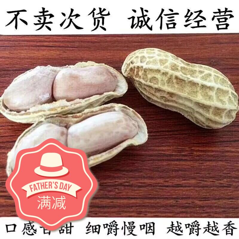 梅州客家特产农家水煮原味白番豆带壳咸干味润香酥脆烘烤紫衣花生