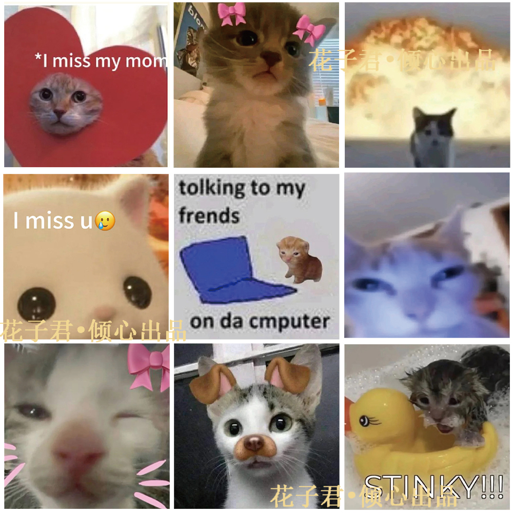 124张搞怪猫猫贴纸可爱沙雕趣味小猫表情包diy手账桌面笔记本贴画