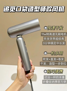 追觅追觅Pocket便携折叠迷你高速口袋造型师吹风机P10负离子护发