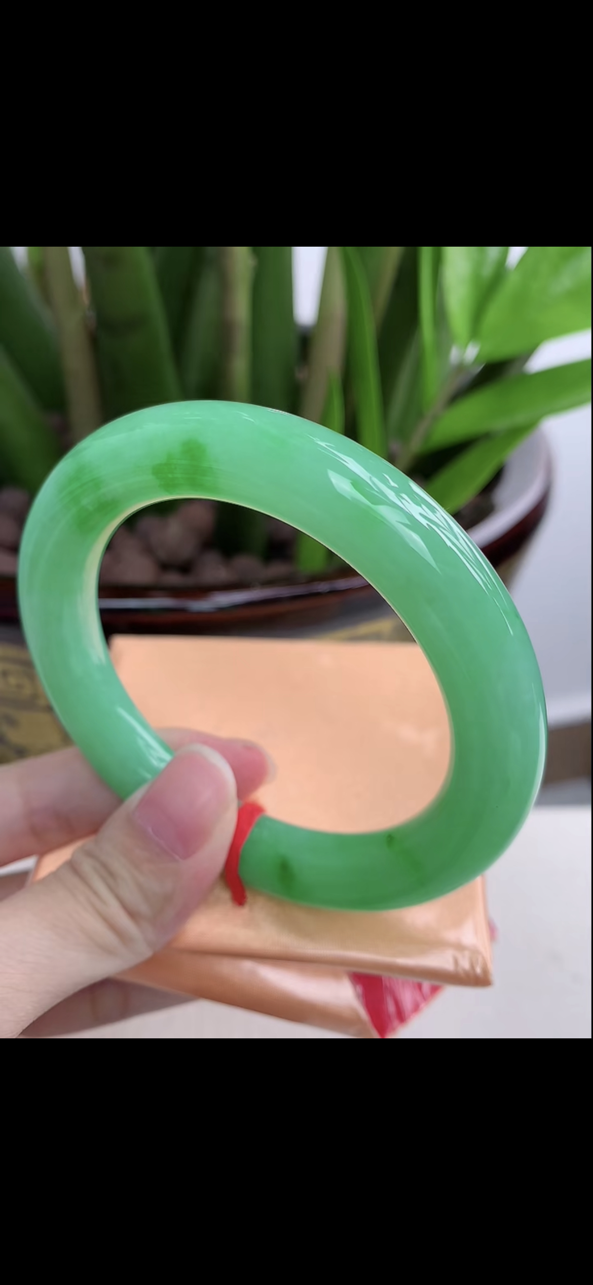 翡翠玉手镯的照片(翡翠手镯照片图片大全)