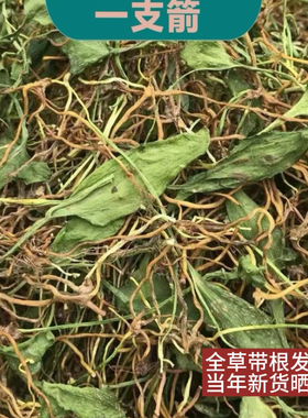 一支箭 一枝箭云南中草药材一支箭蛇须草蛇咬子青藤新鲜干货包邮