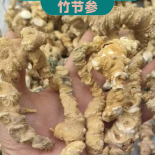 竹节参 中药材竹节三七竹山漆罗汉三七竹鞭三七明七白三七七叶子