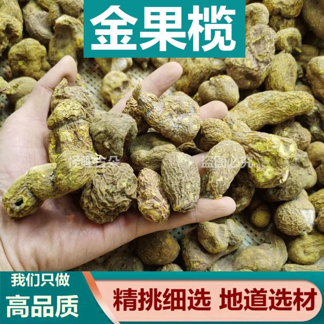 中药材金果榄 别名金牛胆 青牛胆 地苦胆 金线吊葫芦 九牛胆