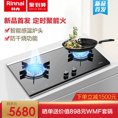 Rinnai/林内 RB-2NGM 聚能火燃气灶双灶嵌入式天然气灶台式灶具