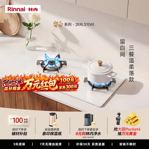 林内新品留白5.2kW定时防干烧S1