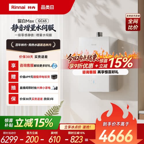 林内留白一级静音GC65玻璃水伺服