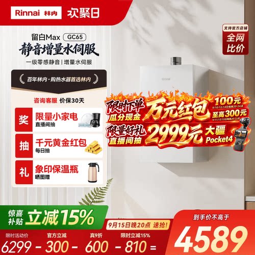 林内留白一级静音GC65玻璃水伺服
