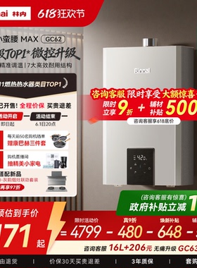[小蛮腰MAX水伺服]林内燃气热水器GC62家用天然气13/16/20升恒温