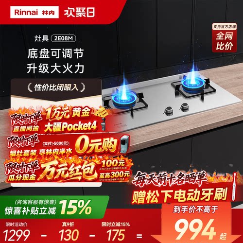 Rinnai/林内大火力燃气灶