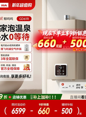 [鲸吨吨零冷水]林内燃气热水器天然气恒温即开即热20/24升GD61R