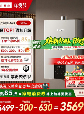 [小蛮腰MAX水伺服]林内燃气热水器GC62家用天然气13/16/20升恒温