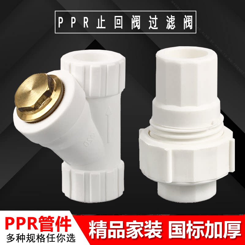 PPR过滤器止回阀塑料过滤阀 不锈钢丝网 202532 铜过滤器4/6分1寸