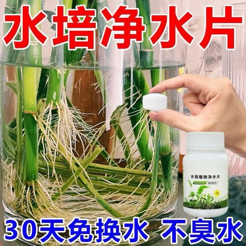 鲜花保鲜除臭片水培植物专用净水片富贵竹碗莲净水保鲜花卉保鲜剂