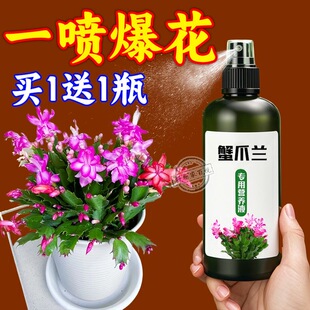 免稀释蟹爪兰专用营养液植物型叶面一喷绿催箭促花绿叶壮根营养液