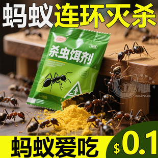 灭玛蚁粉全窝端治蚂蚁的药消灭小黄蚂蚁药去除马义药厨房祛红蚂蚊
