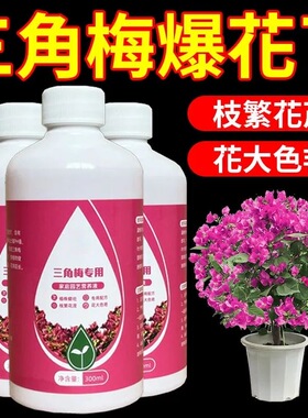 三角梅肥料专用肥 植物营养液 梅花家用花卉养花促开花