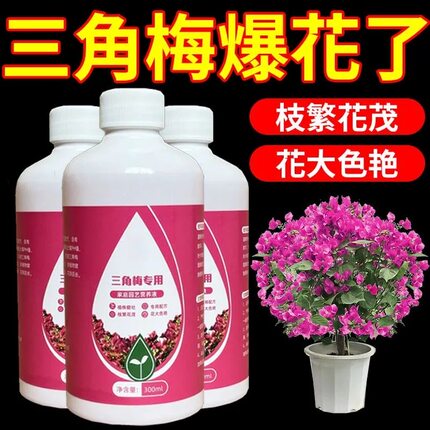 三角梅肥料专用肥 植物营养液 梅花家用花卉养花促开花
