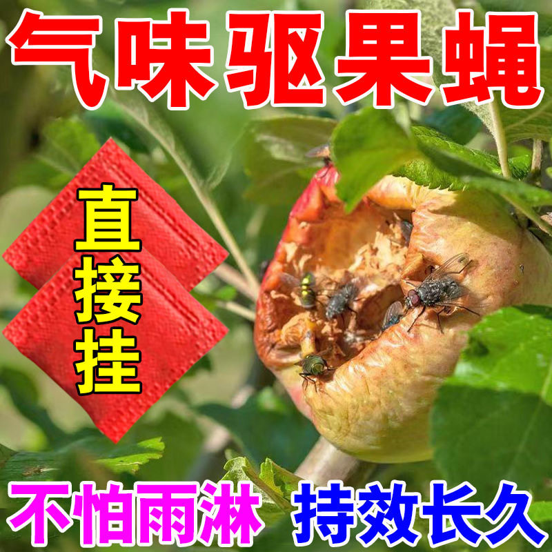 果蝇诱捕器果园水果店菜园灭果蝇神器驱防马蜂蜜蜂活虫专用香精包