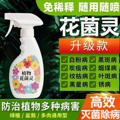花菌灵一喷花病全没预防各种花病