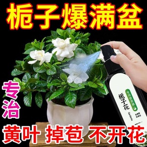 栀子花肥料专用肥营养液盆栽植物开花通用型土培水培家用酸性花肥