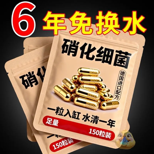 硝化细菌鱼缸用专用胶囊净水剂颗粒活菌干粉水质稳定净化水族鱼用