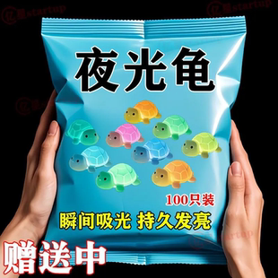 【抖音爆款】夜光彩色乌龟树脂仿真大乌龟专用奥运全红同款小乌龟