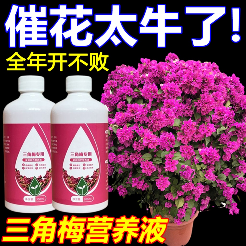 三角梅开花专用营养液肥促花爆花骨粉复合肥料养花枝繁叶茂促开花