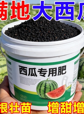 西瓜防裂果畸形微生物菌剂香瓜专用水溶肥保花保果抗病增产香甜