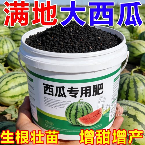 西瓜生物有机肥保花保果抗病增产