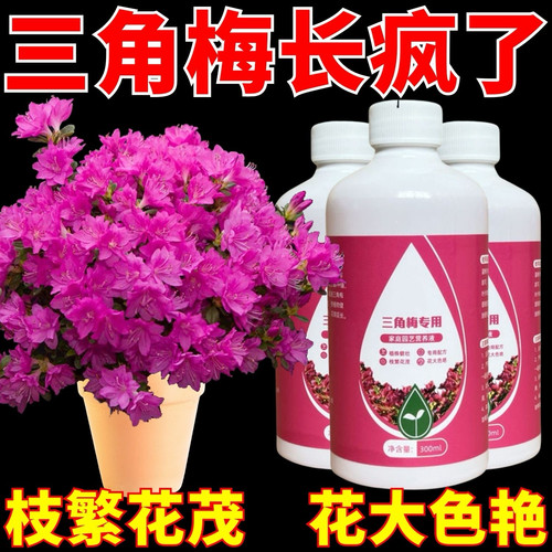 三角梅开花专用肥爆花促花营养液肥家庭园艺盆栽通用型养根复合肥