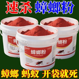 速杀蟑螂粉家用蟑螂药室内端餐厅全窝小强饵剂灭杀小强饭店非无毒