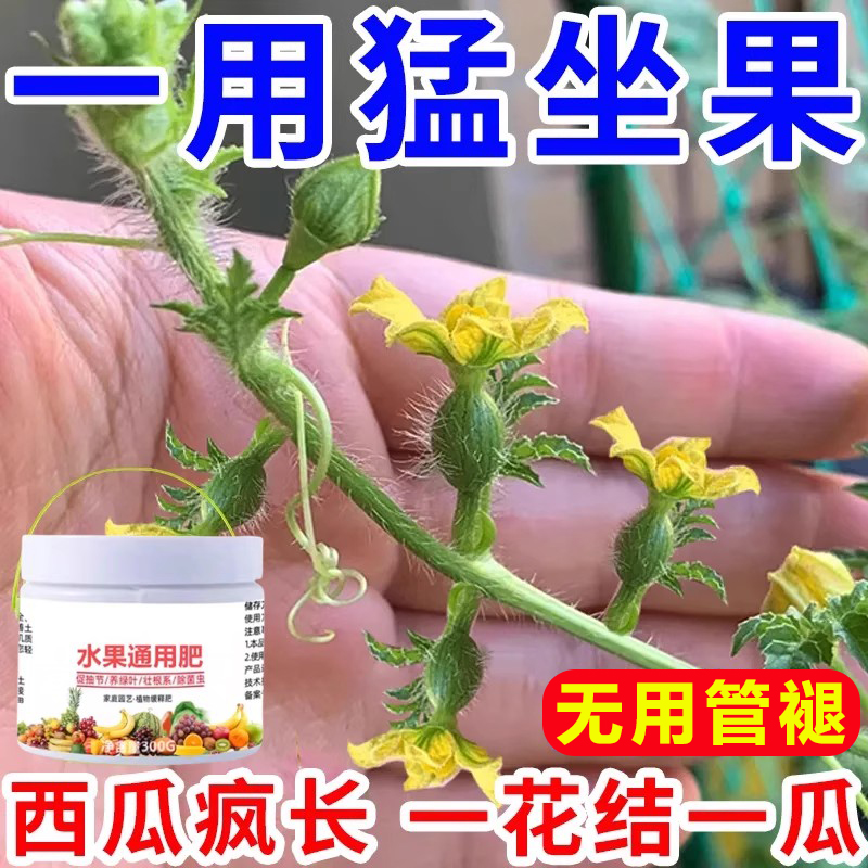 西瓜专用肥果实饱满汁甜肉脆高产