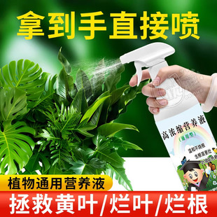 免稀释植物营养液通用型盆栽肥料室内绿植发财树养花卉叶面喷施肥