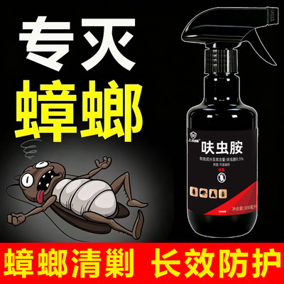 蟑螂蚂蚁小黑虫统统消灭