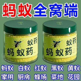 灭蚂蚁药强效全窝端家用无毒厨房室内野外菜地灭蚁清蚂蚁药一窝端